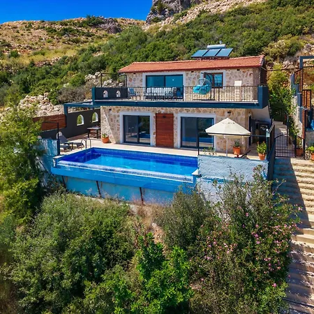 Elvin Kalkan